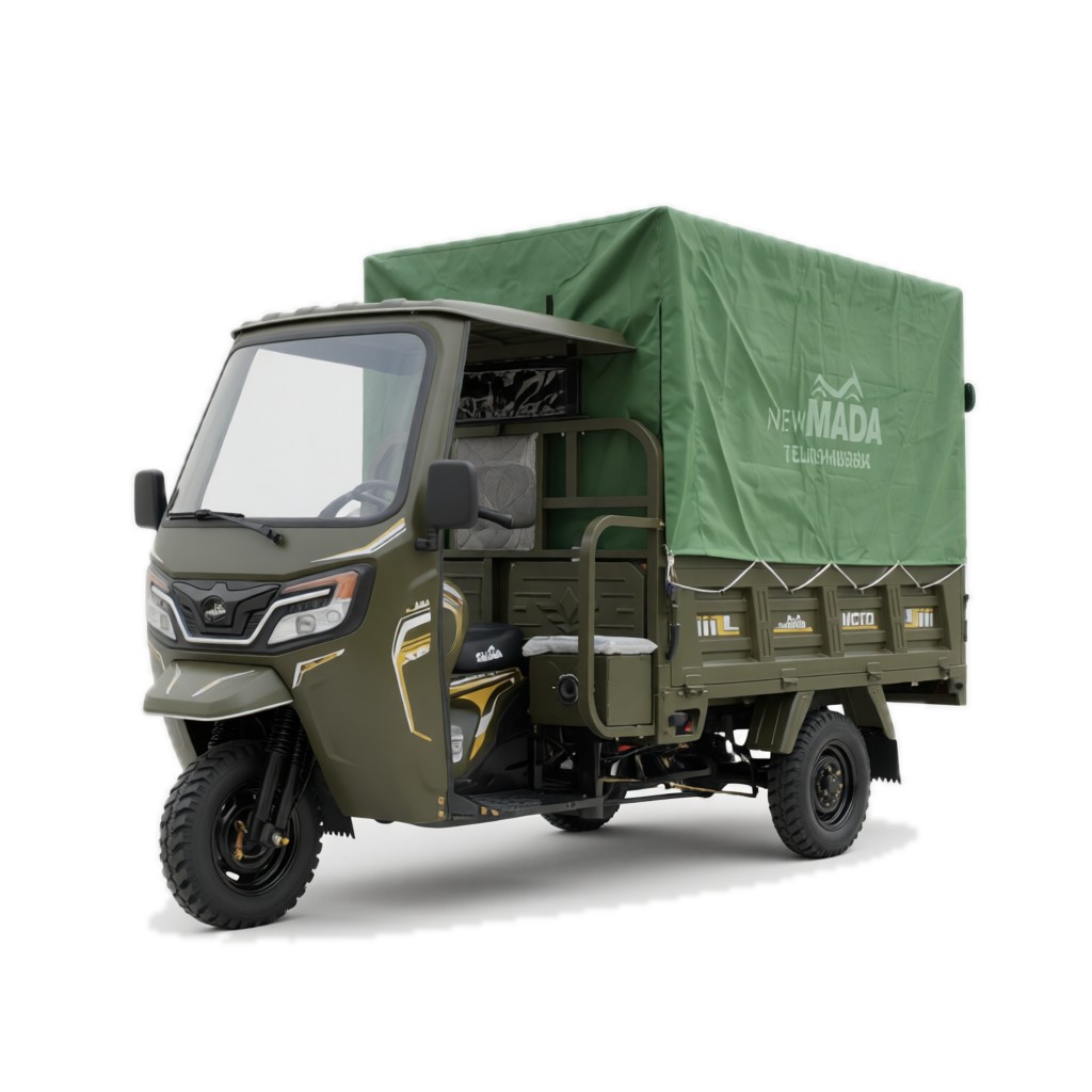 NM250ZH X2 Tricycles cargo — vue studio (fond blanc neutre)