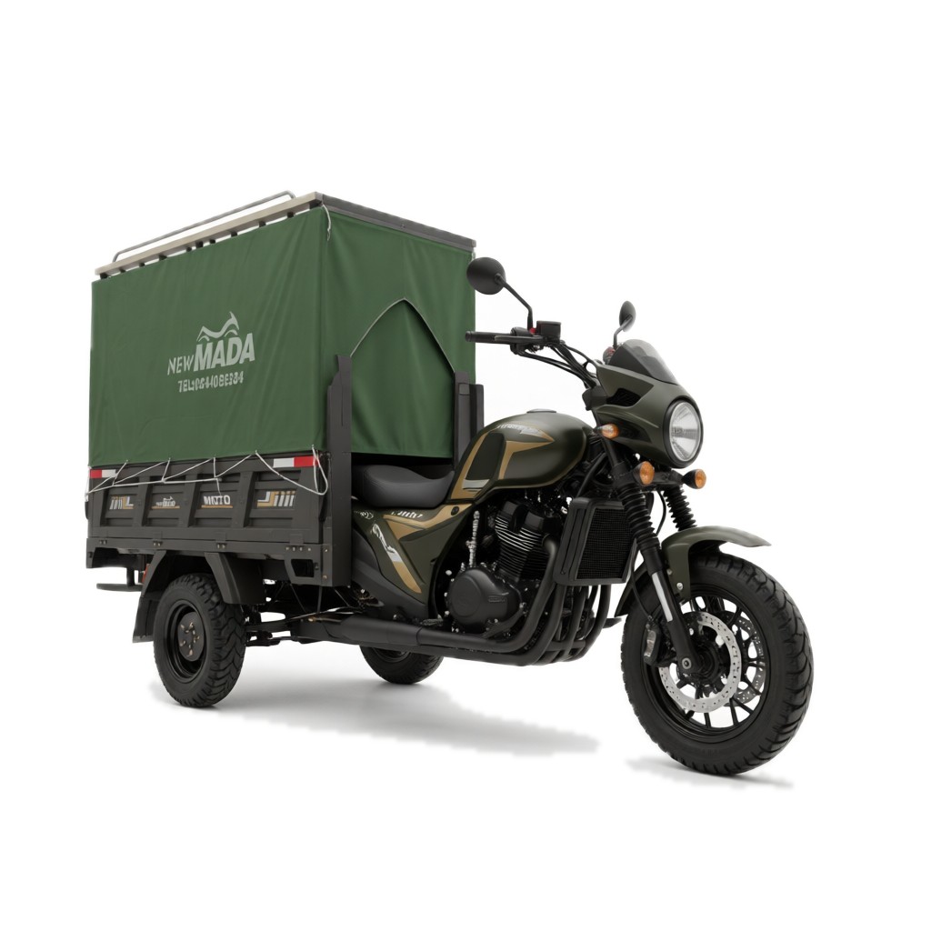 NM250ZH-X2L Tricycles cargo — vue studio (fond blanc neutre)