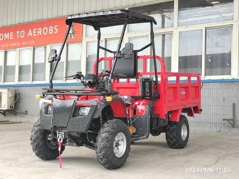 NM300-ATV ATV & Quad Bikes — factory photograph